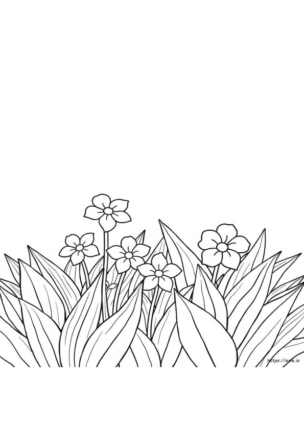 Páginas Para Colorear Imprimibles Gratis Para Mayo