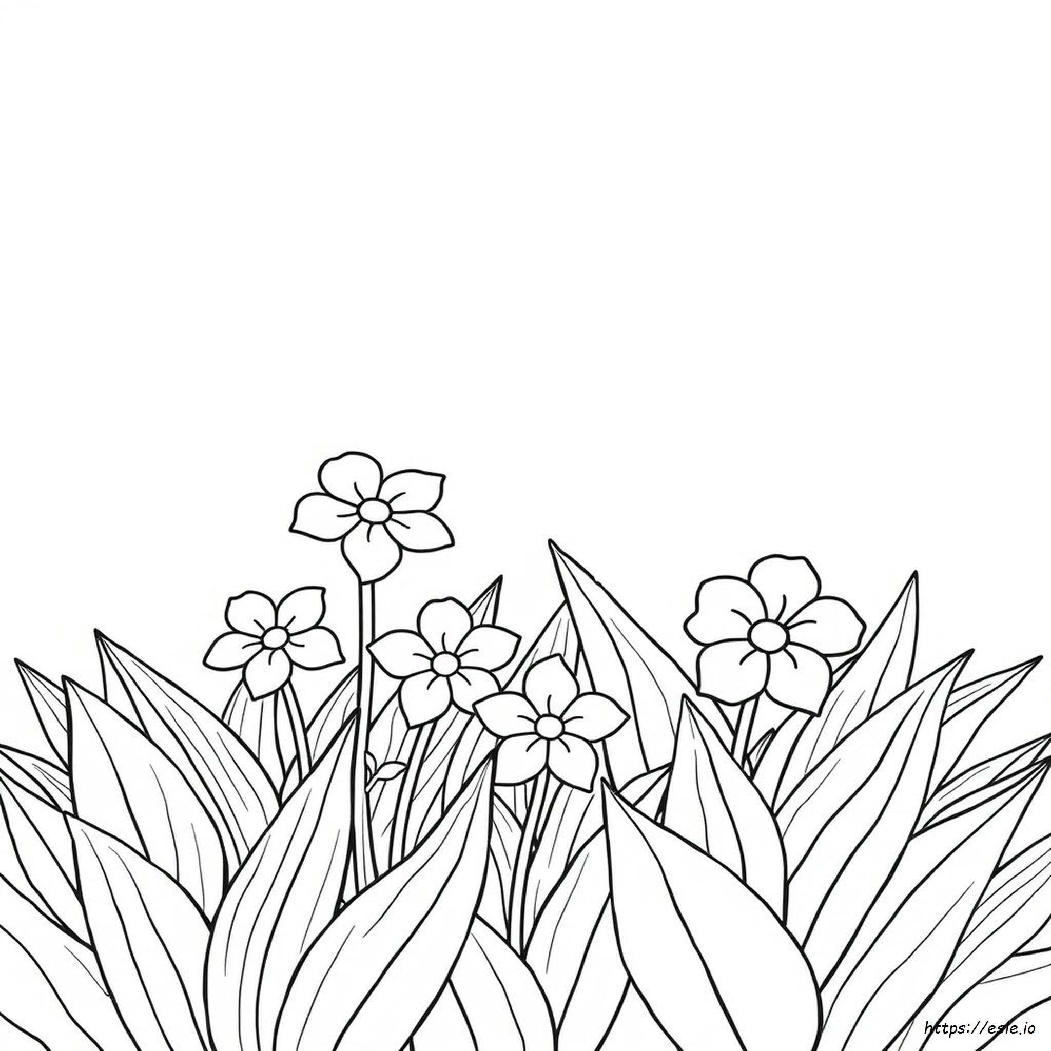 Páginas Para Colorear Imprimibles Gratis Para Mayo