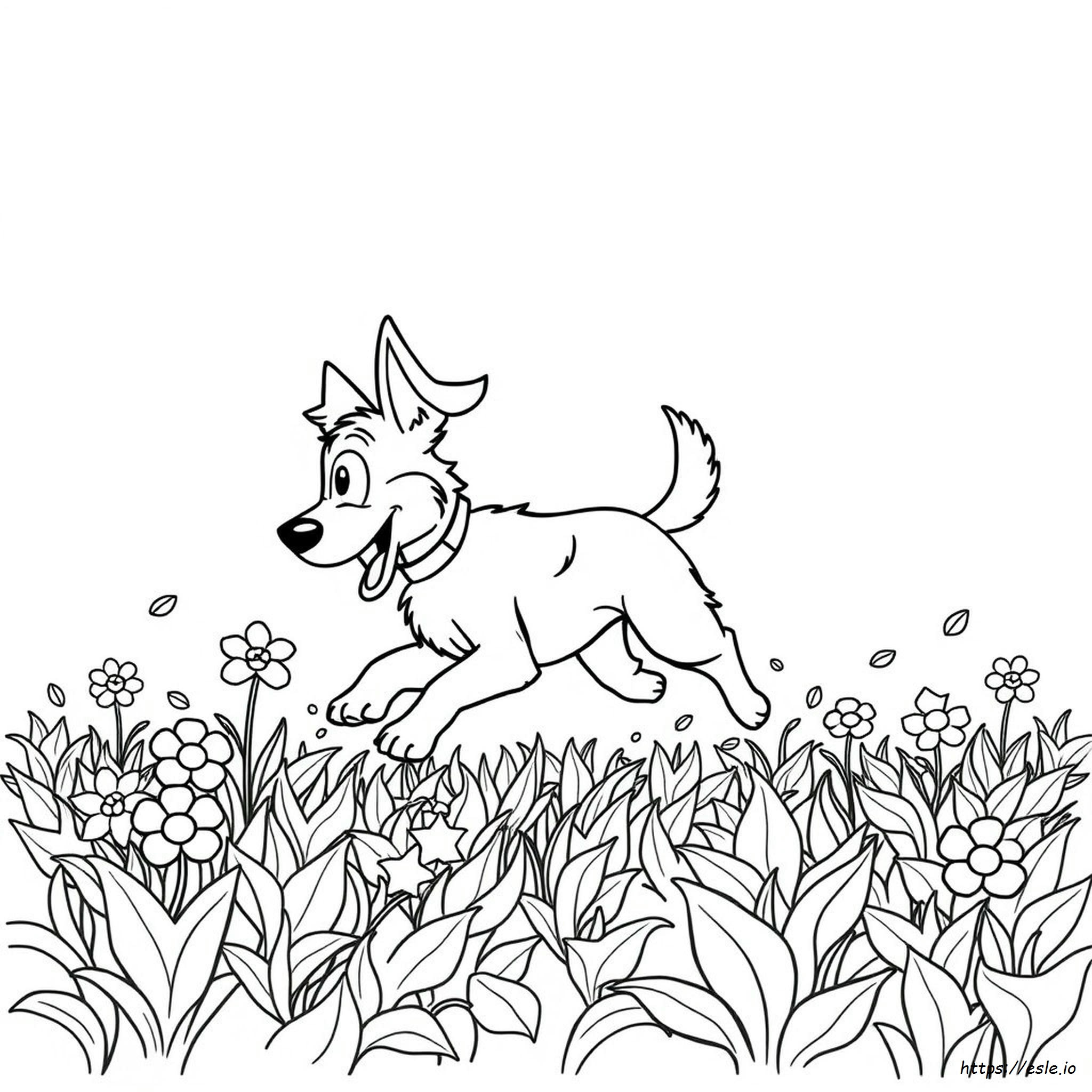 Spunky Coloring Pages Printable