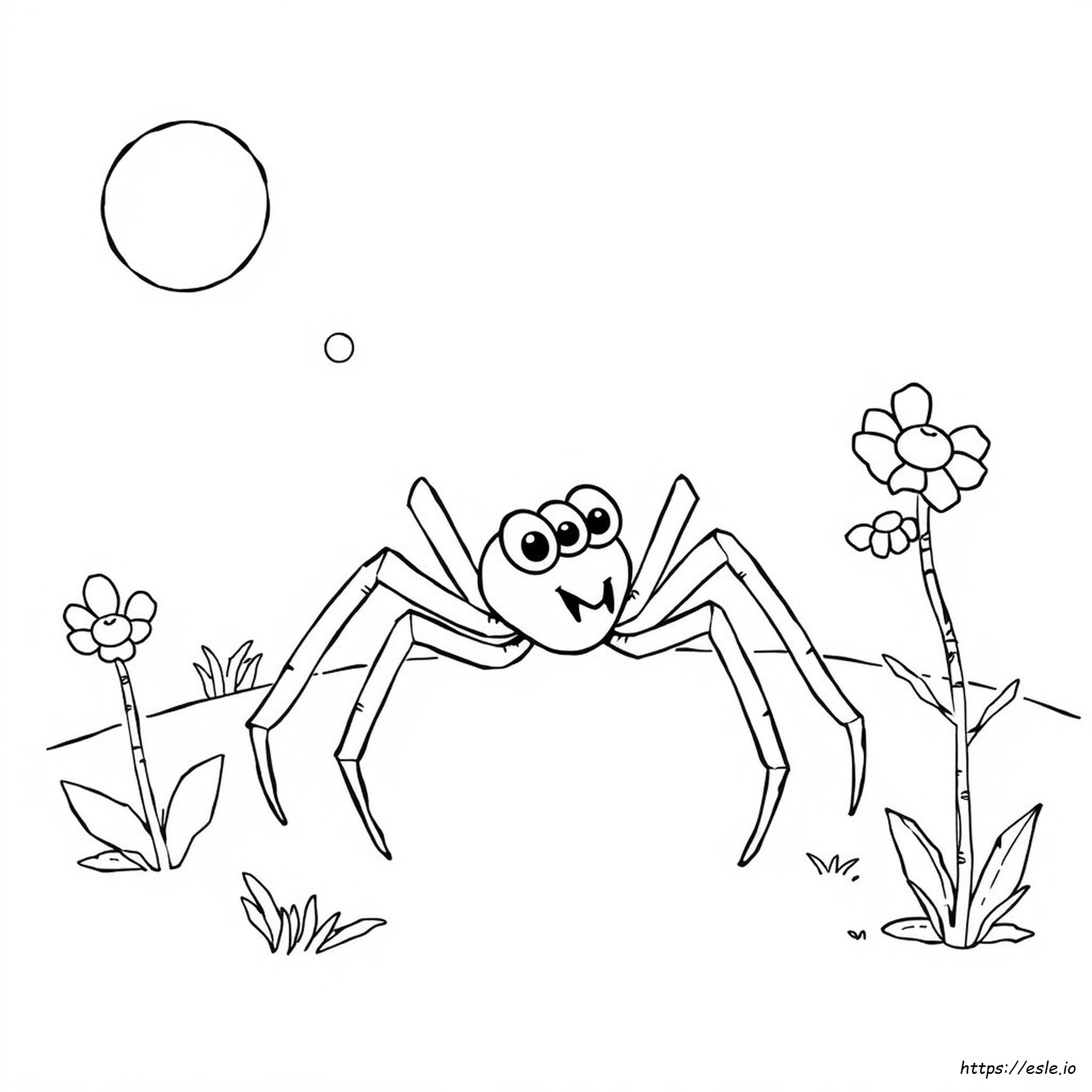 Incy Wincy Spider Coloring Pages