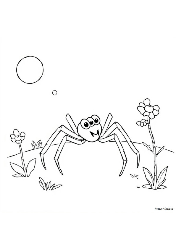 Printable Incy Wincy Spider Colouring