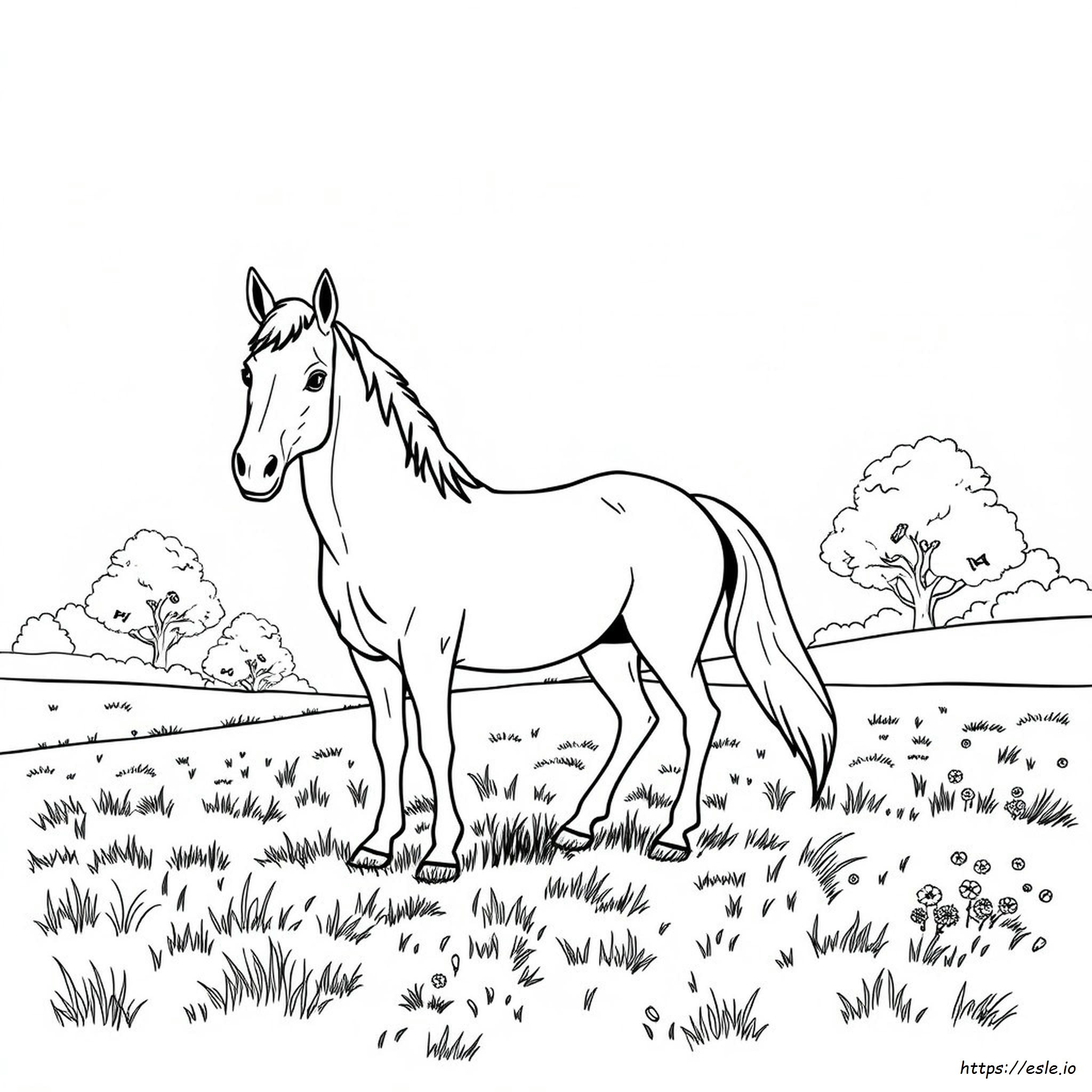 Realistic Printable Horse Coloring Pages
