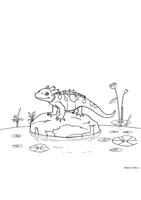 Axolotl Realistici Da Colorare, Disegni Di Axolotl