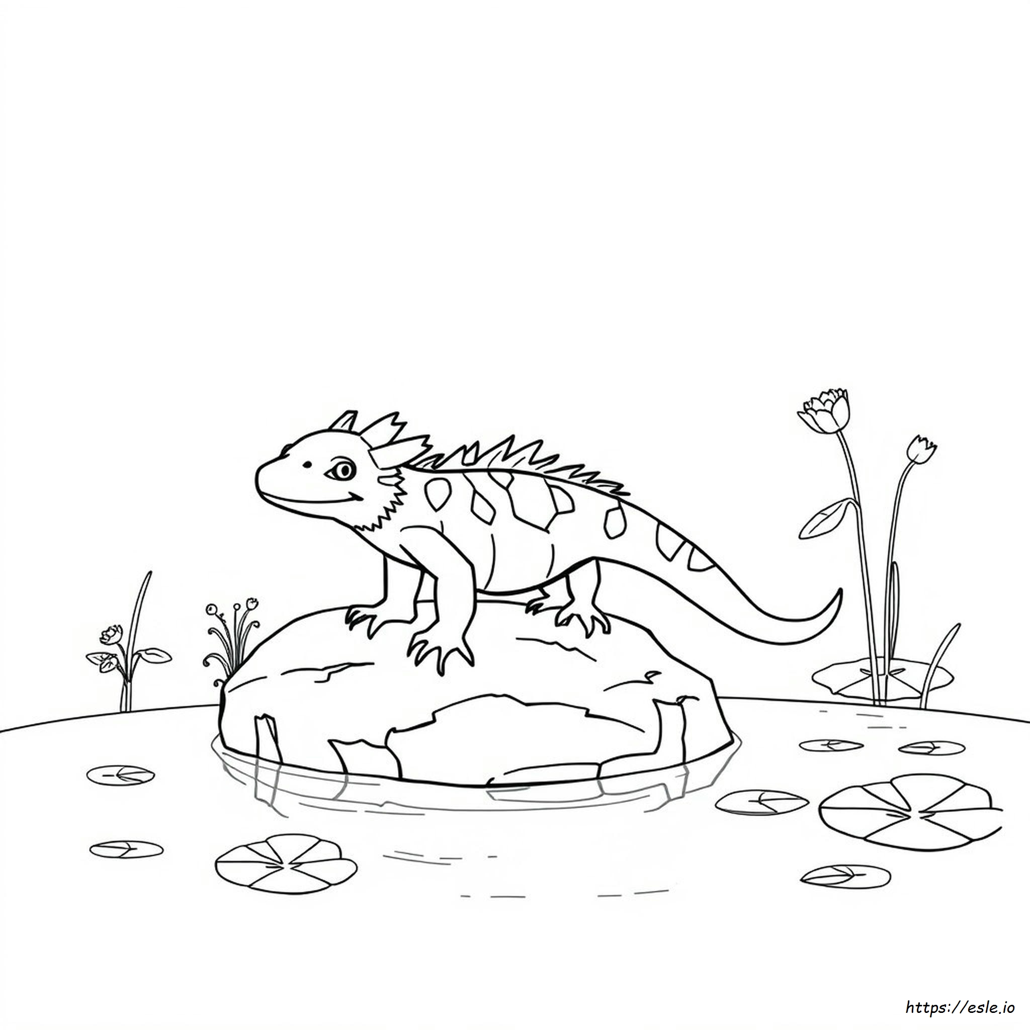 Realistic Axolotl Coloring Pages Axolotl Drawing