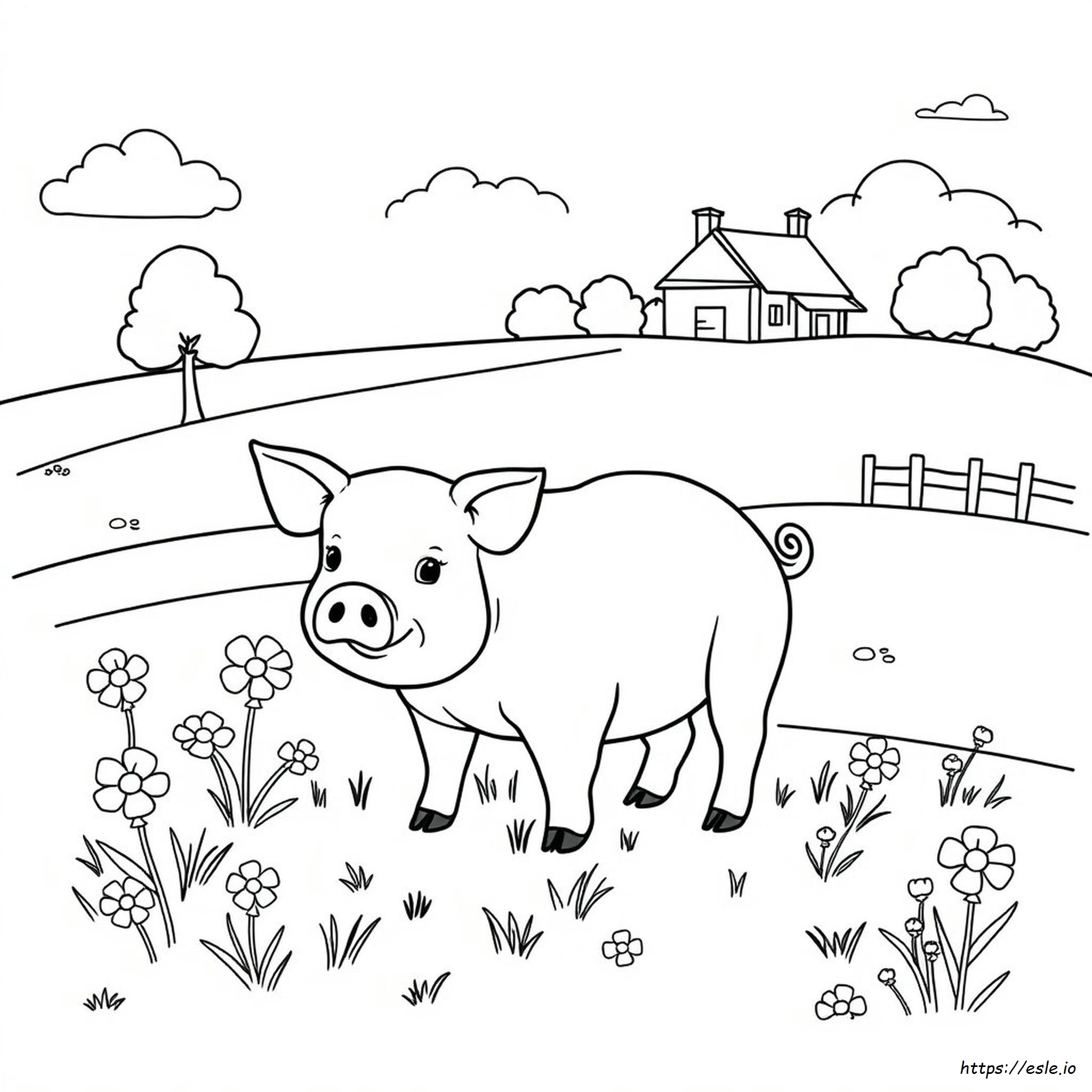 Kostenlose Schweinchen Ausmalbilder Zum Ausdrucken