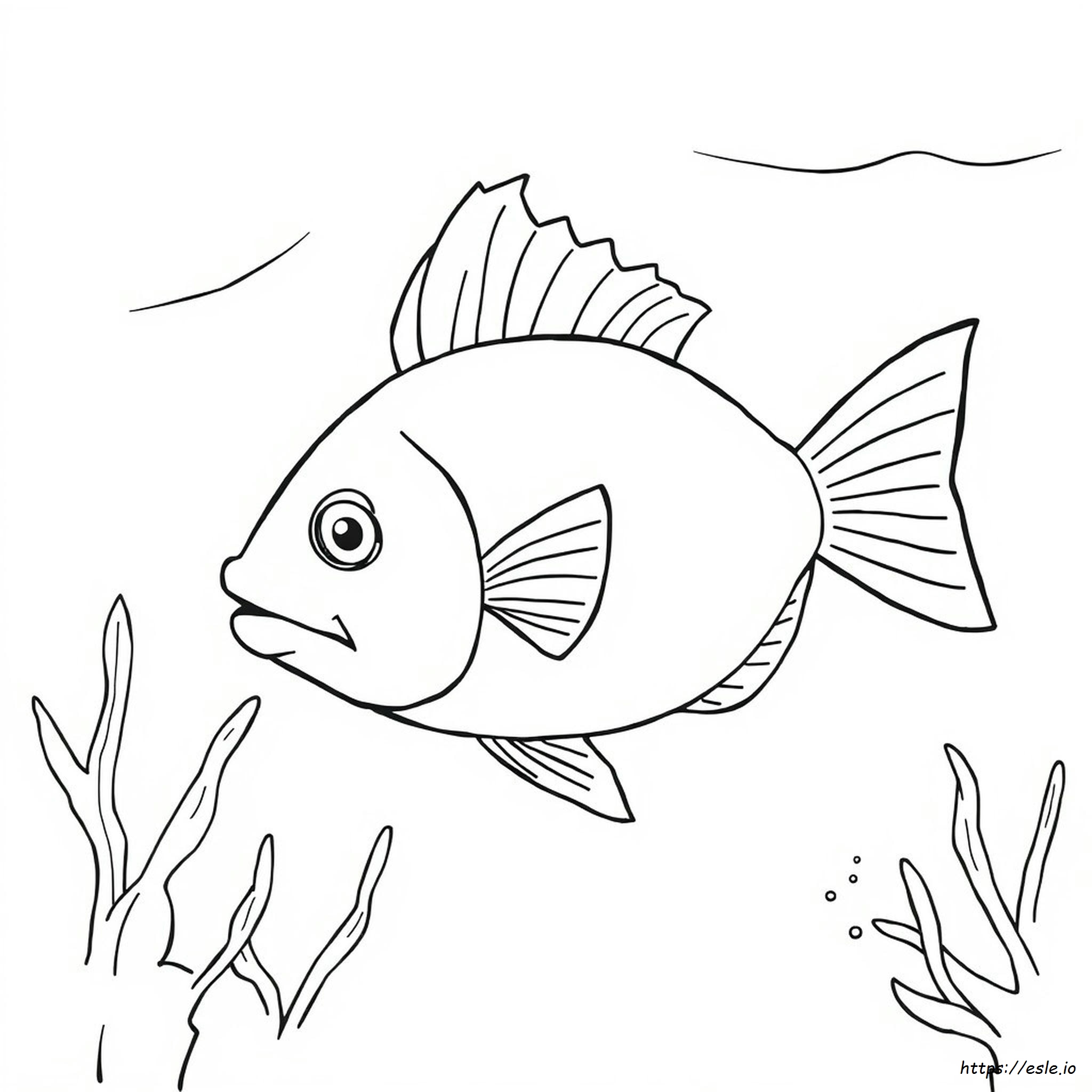 Parts Of A Fish Coloring Page