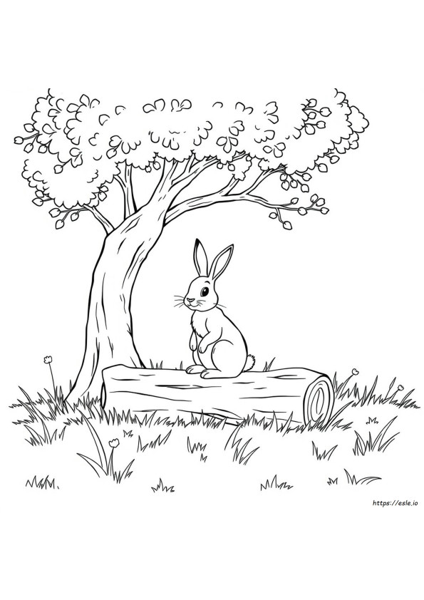hare-coloring-pages-free-printable