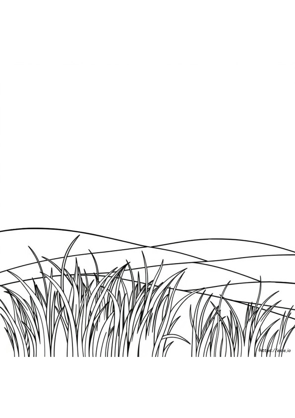 Grass For Colouring