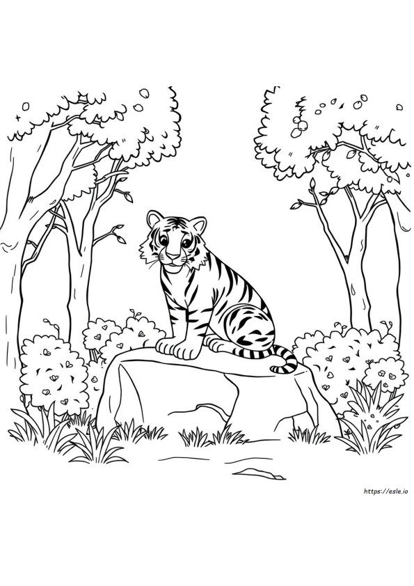 Immagini Di Tigri Da Colorare