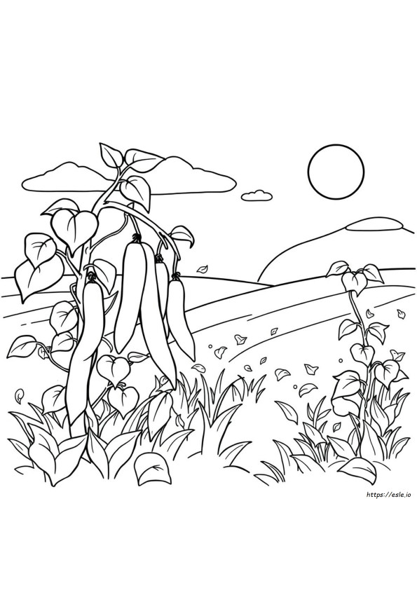 How To Color Beans