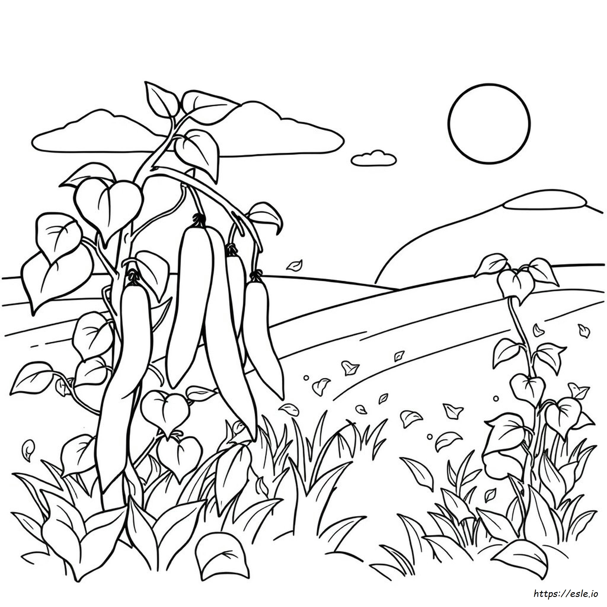 How To Color Beans