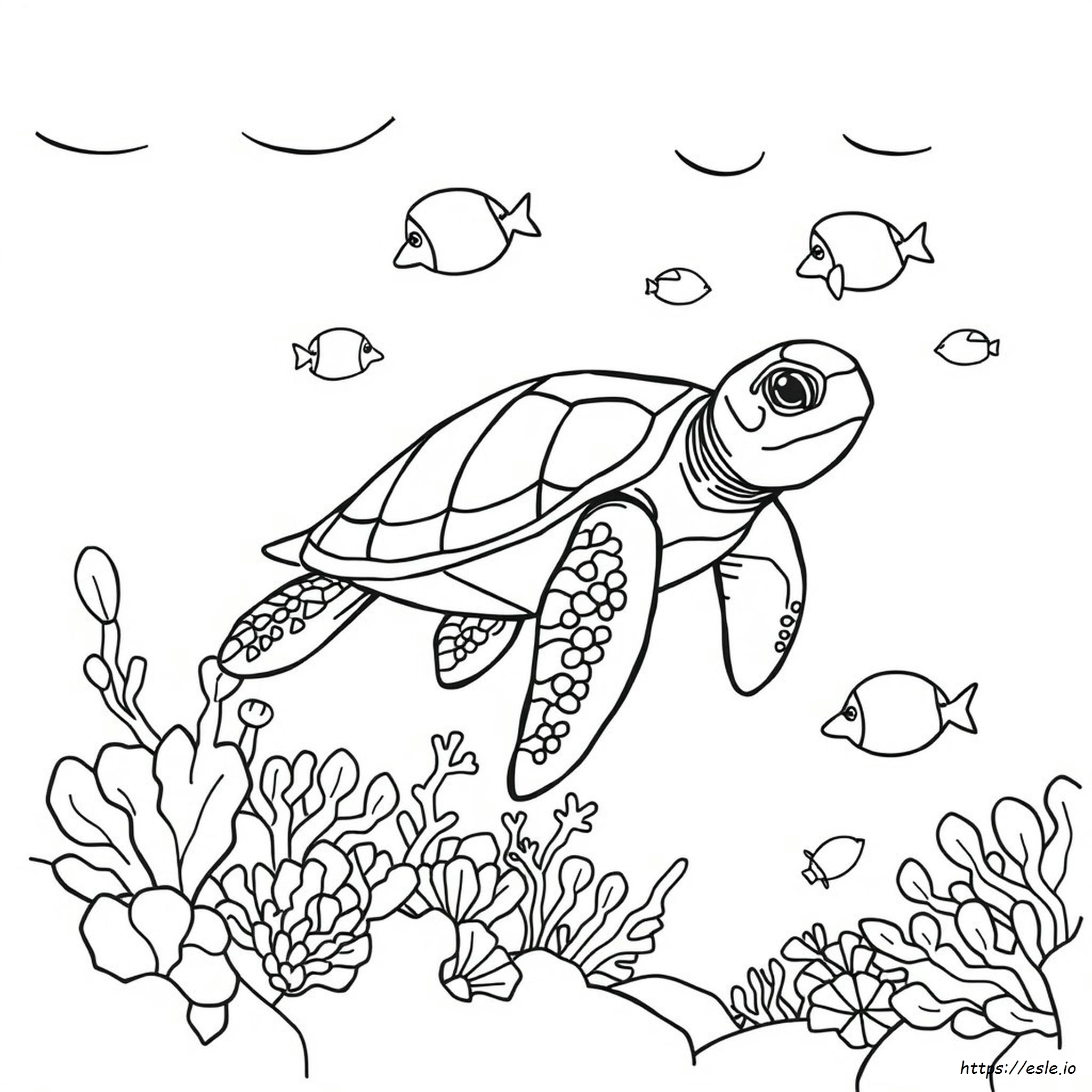 Sea Creature Colouring In