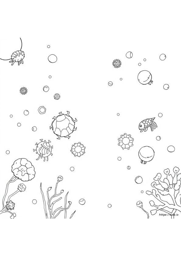 What Color Is Phytoplankton