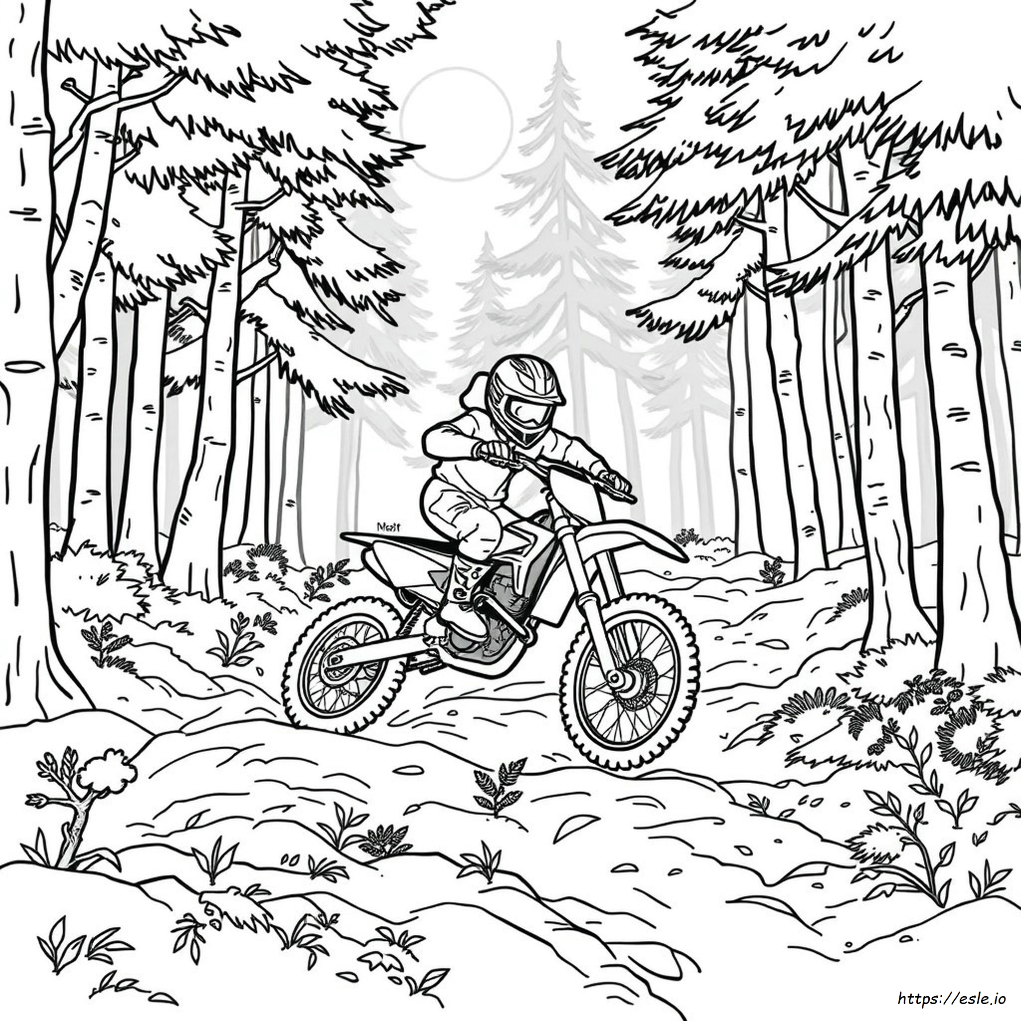 Dirt Bike Coloring In