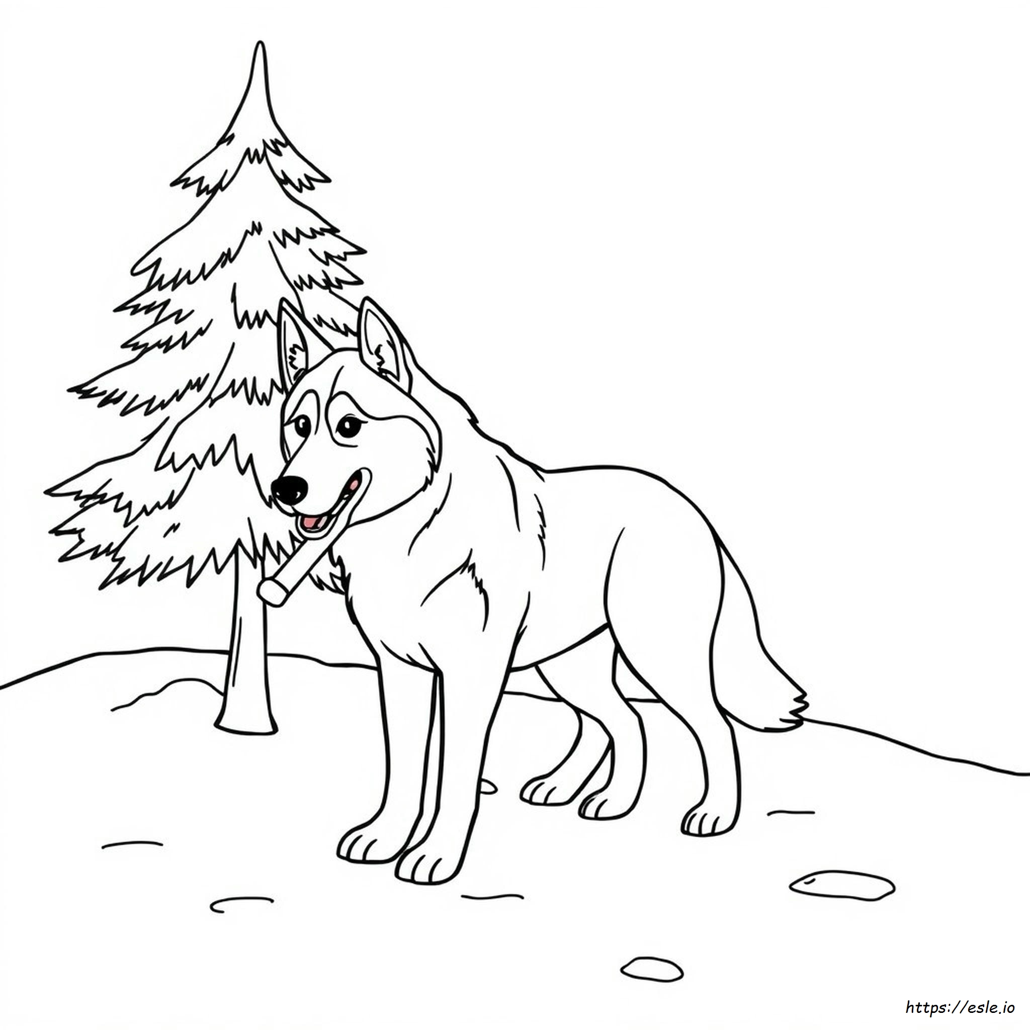 Husky Colouring Page