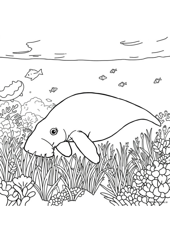 Dugong Boyama Sayfası