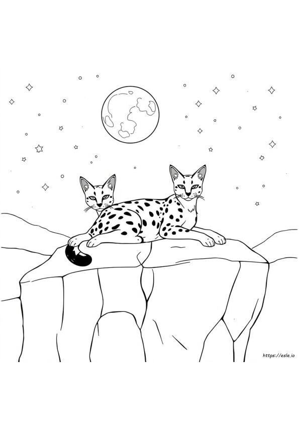 Coloriage Caracal