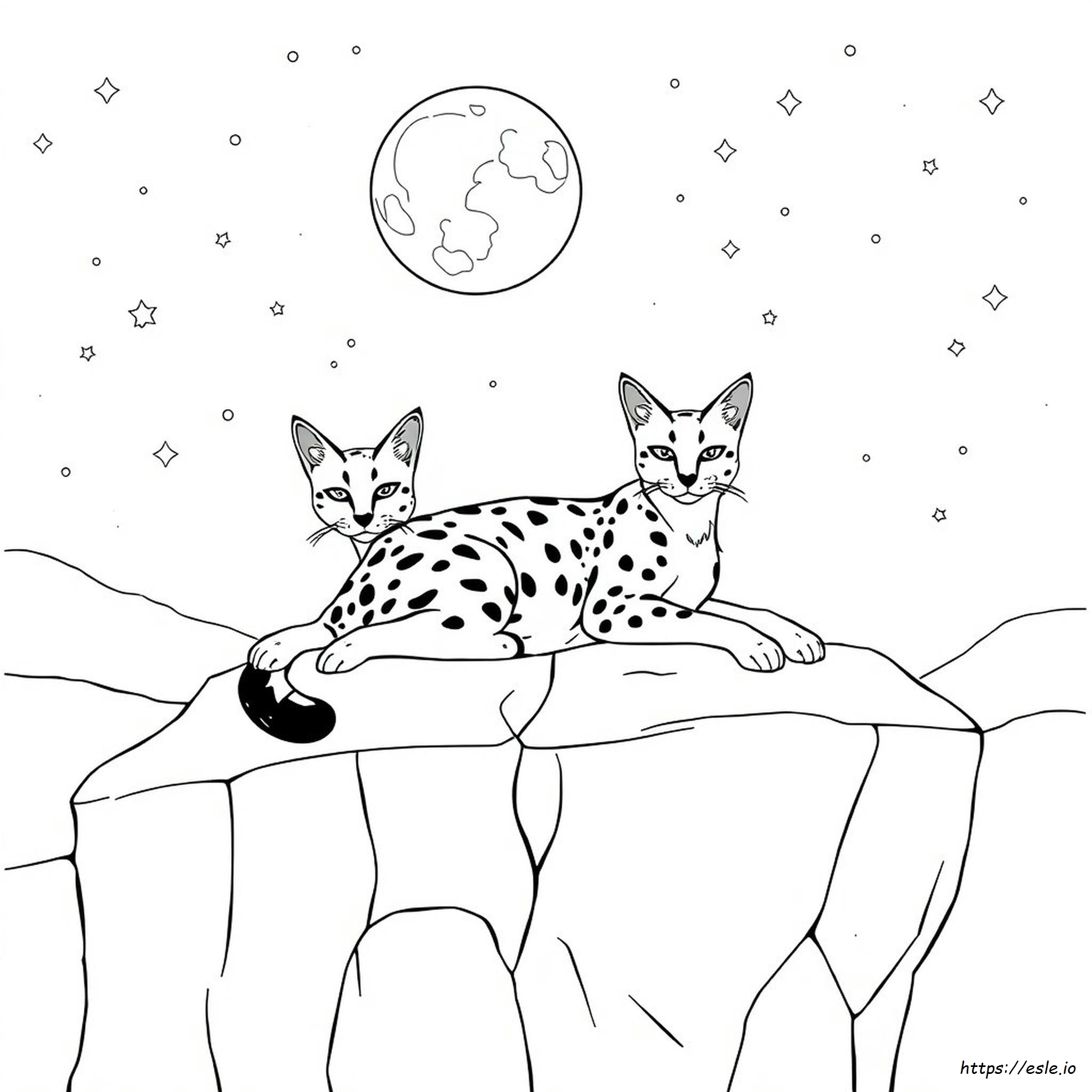 Caracal Coloring Page