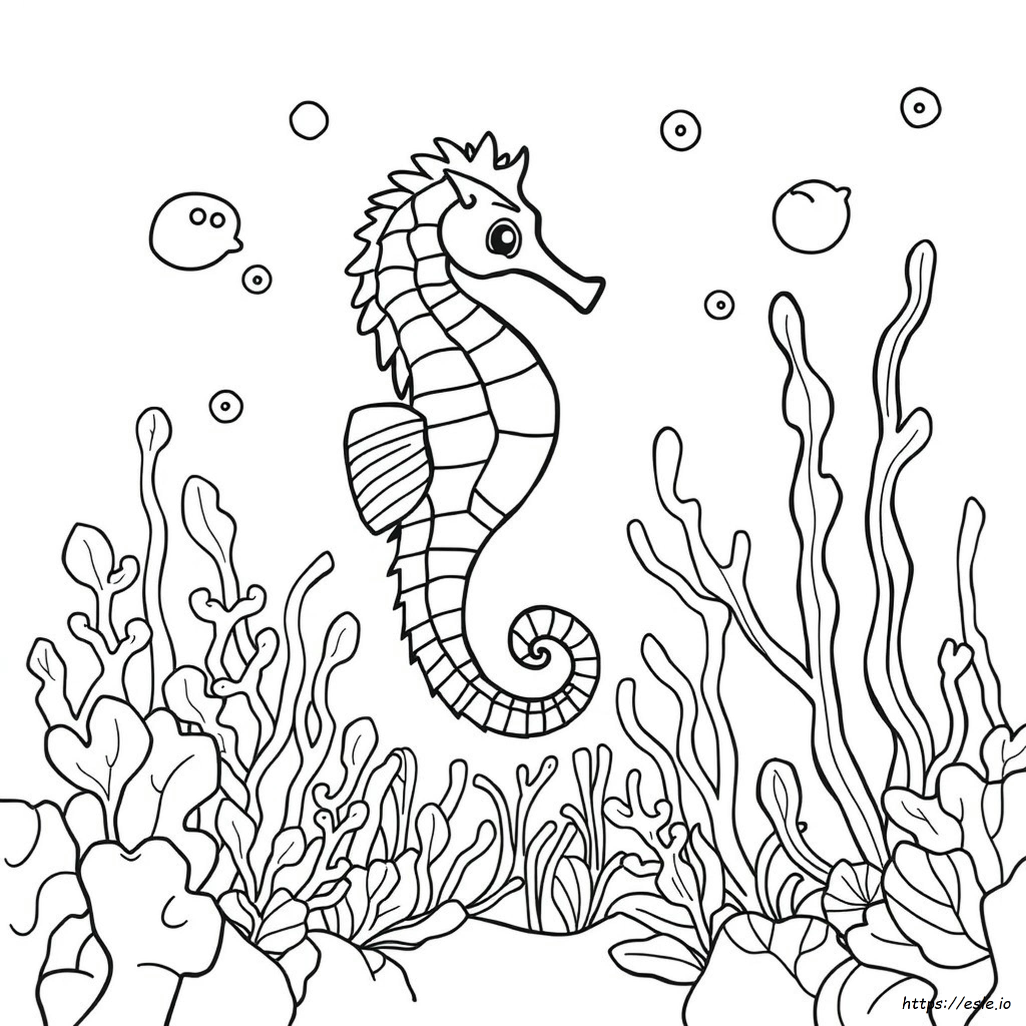 Seahorse Coloring Page