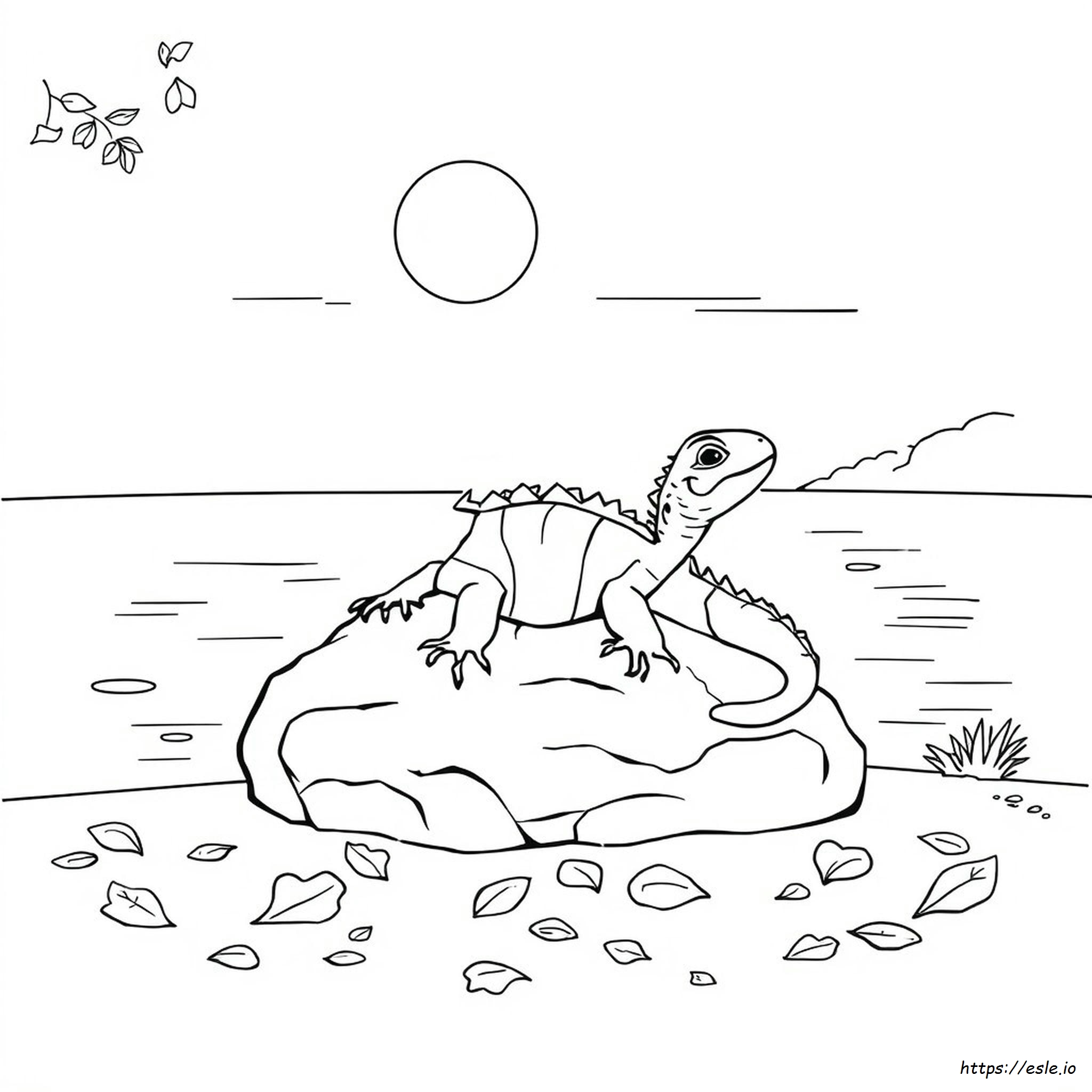 Gambar Mewarnai Reptil Mudah