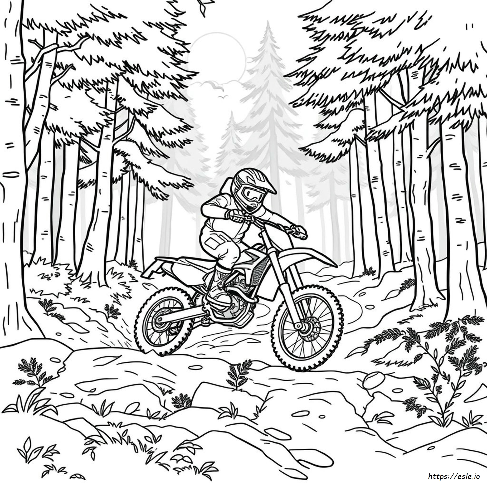 Dirtbike Colouring In