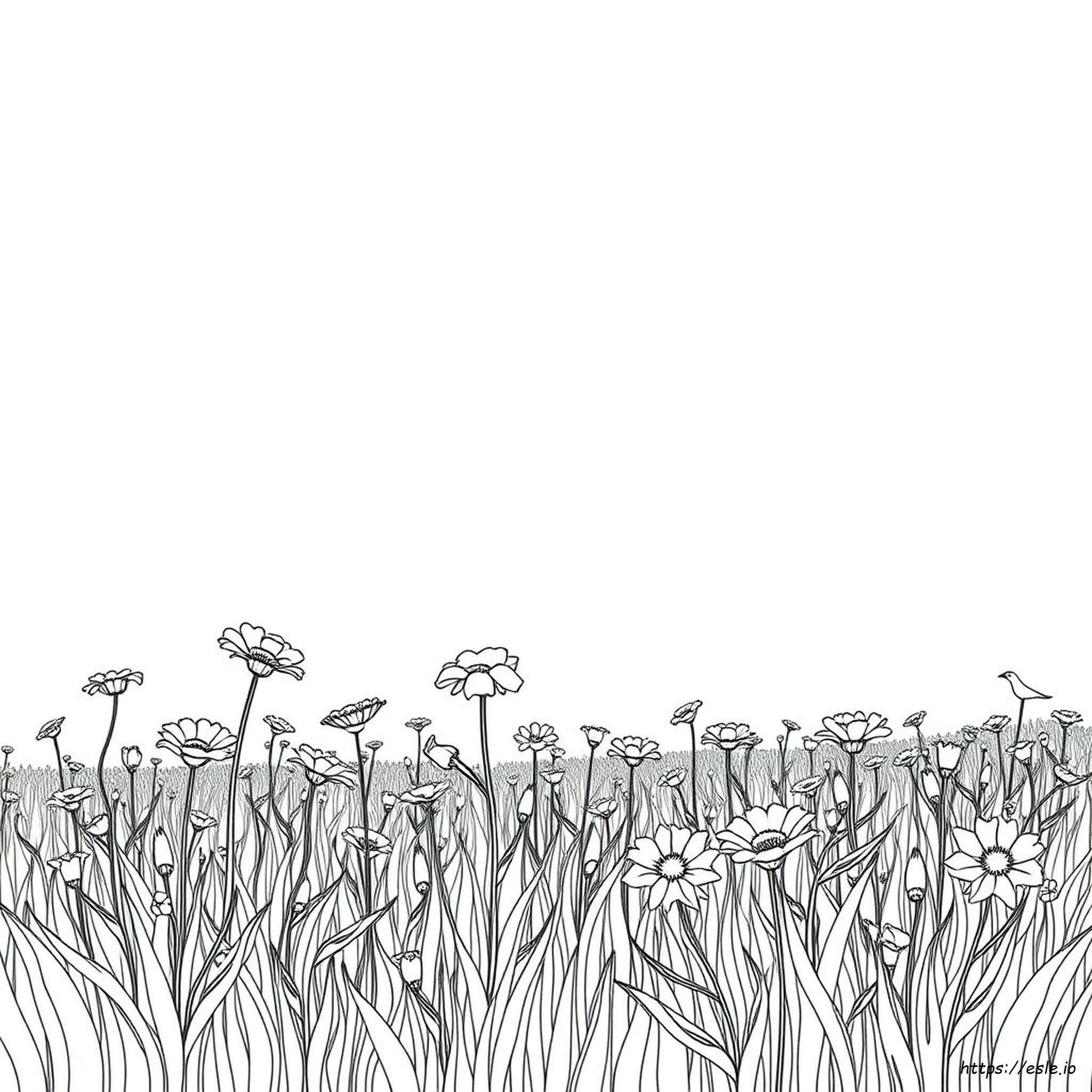 Anti Stress Coloring Pages