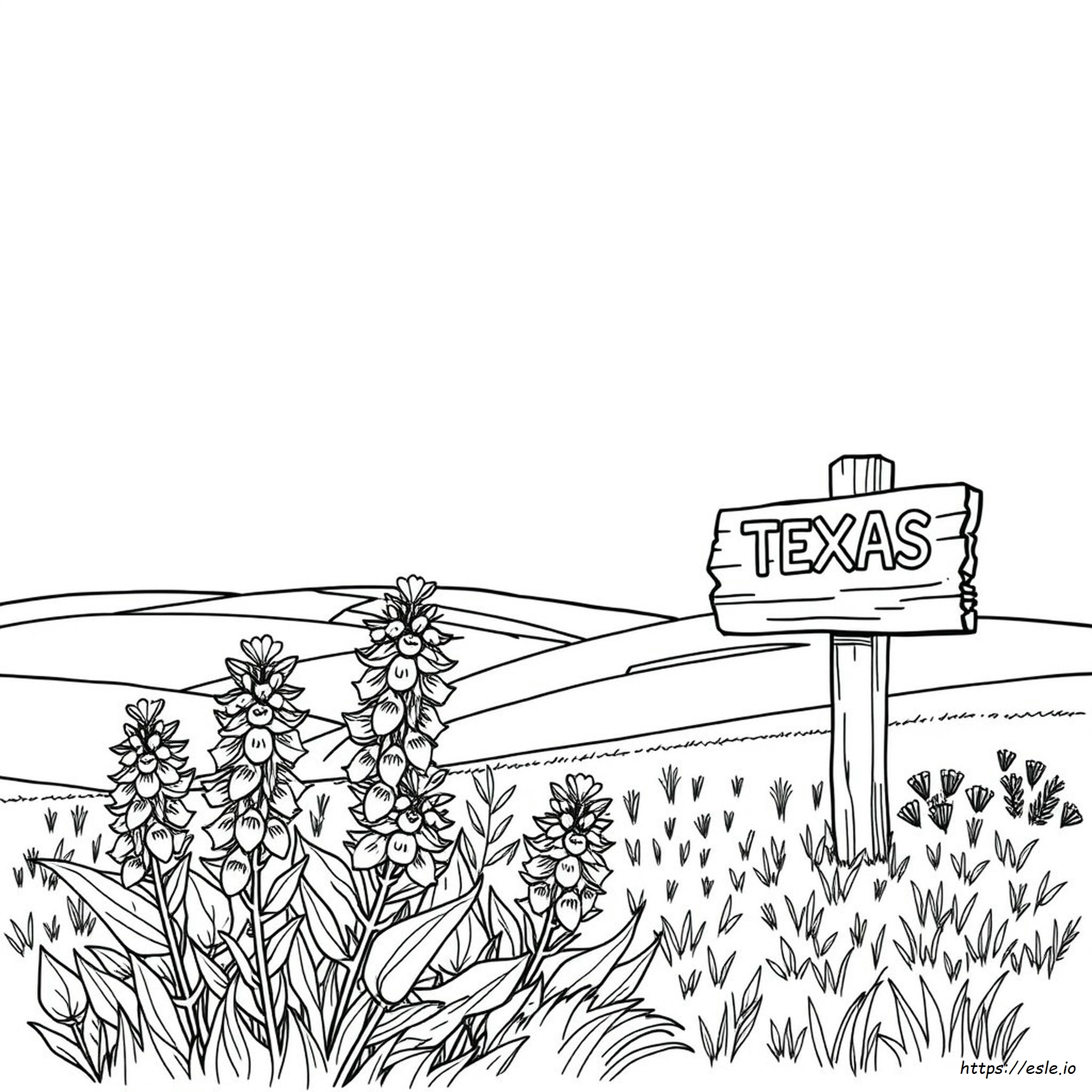 Texas Bluebonnet Coloring Page