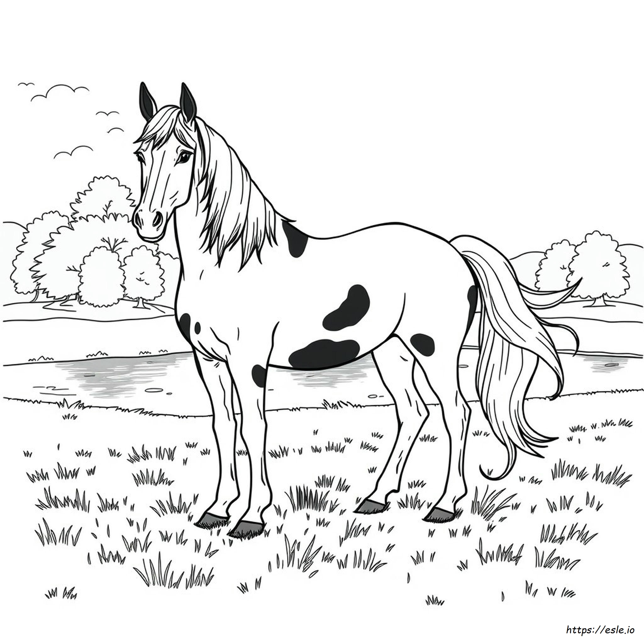 Pretty Horse Realistic Horse Coloring Pages