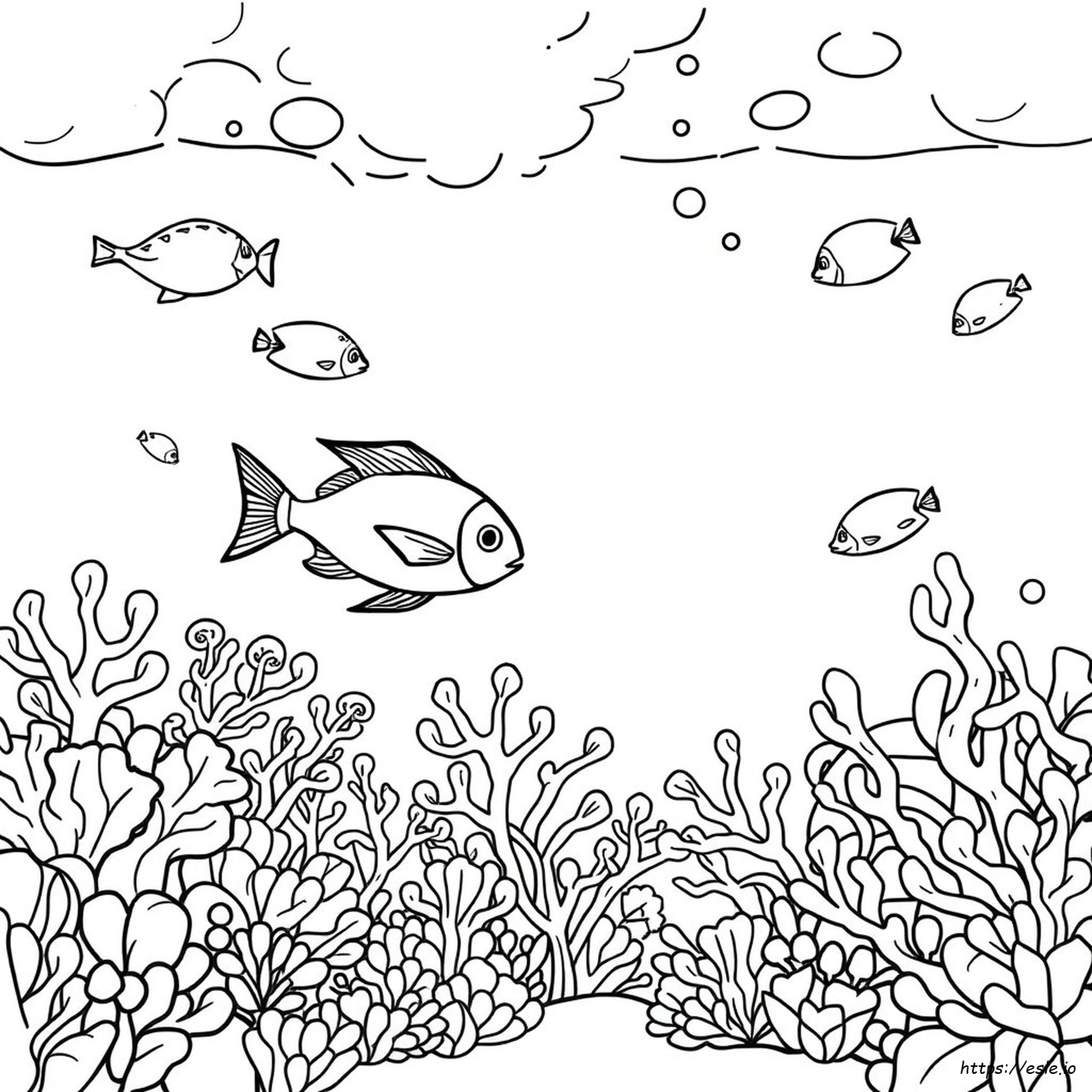 Under The Sea For Coloring