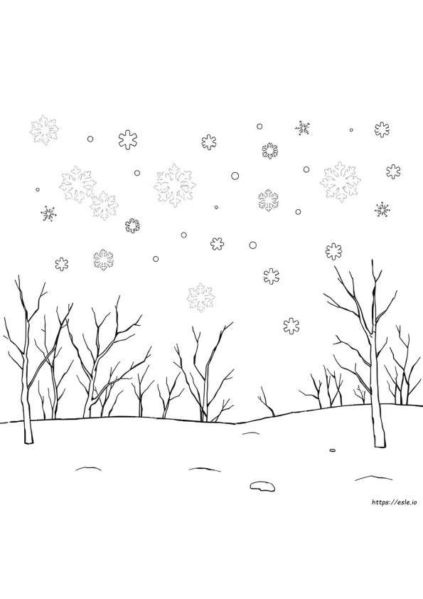 Sneeuwvlokken Kleurplaat Pre K