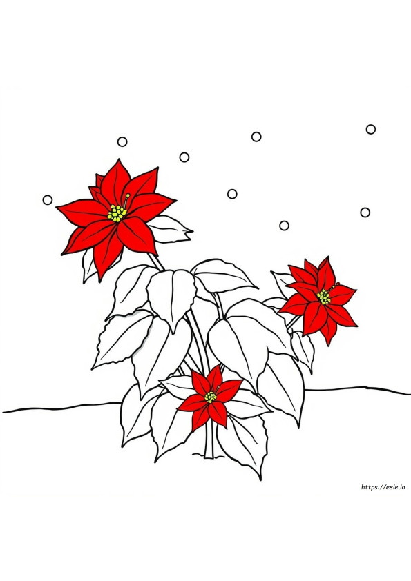 Poinsetta Coloring