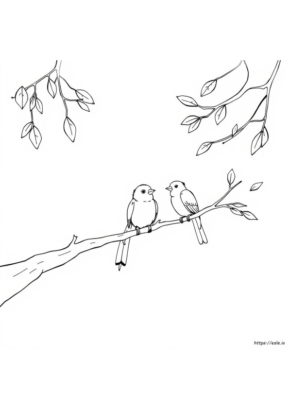 Coloring Pages With Birds