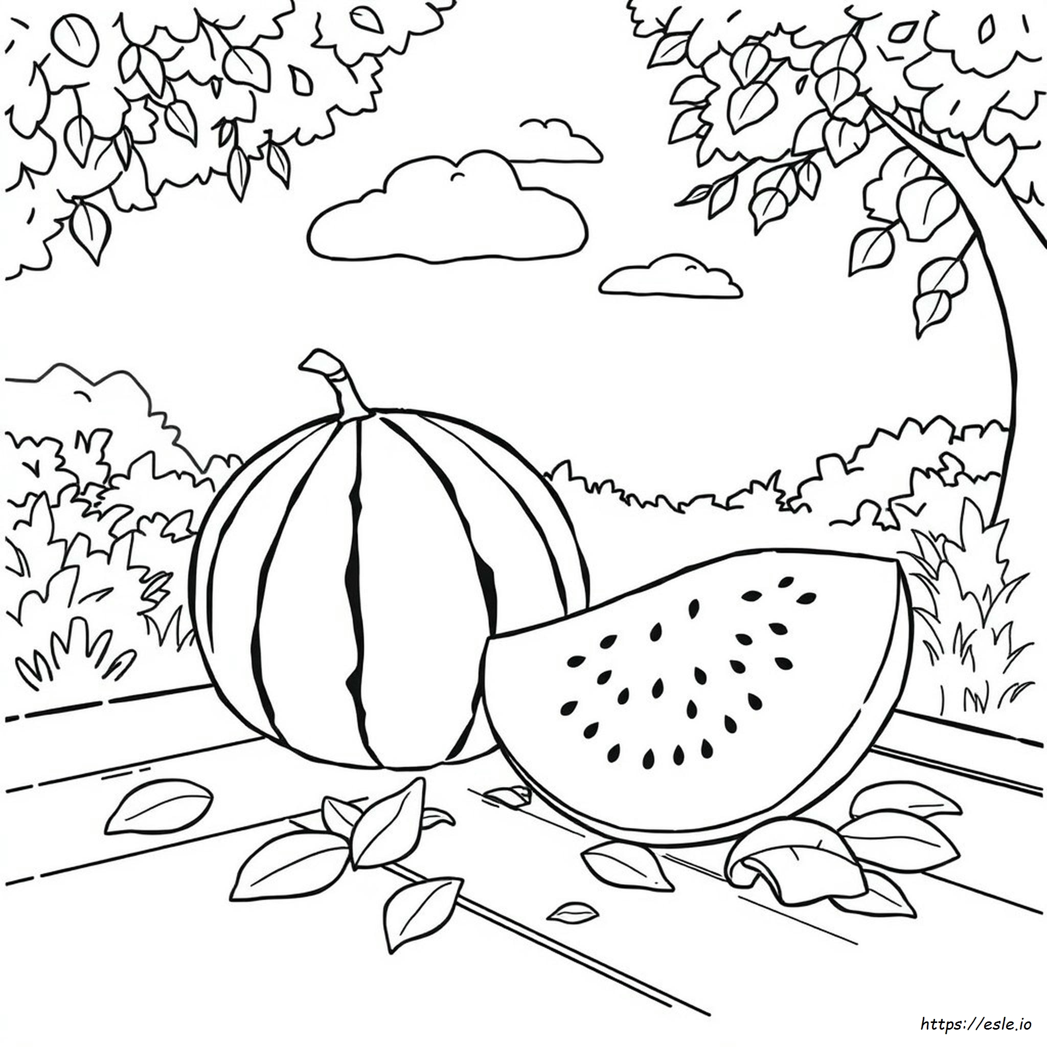 Free Printable Watermelon Coloring Pages