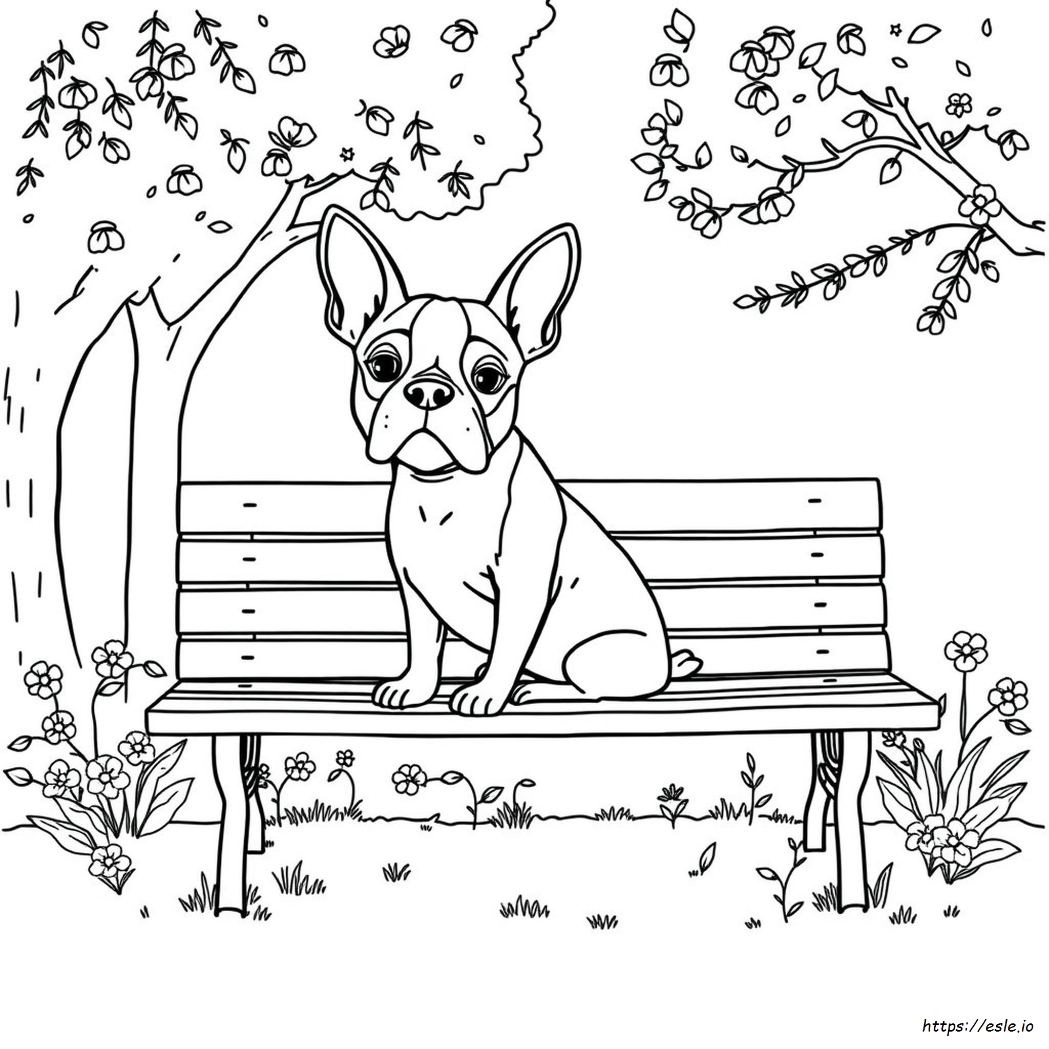 Boston Terrier Da Stampare E Colorare Gratis