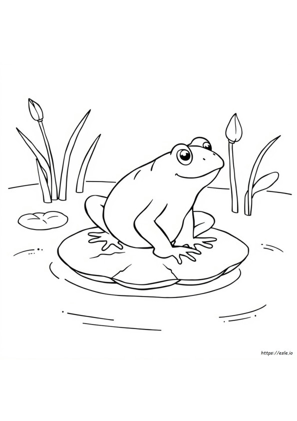 Libro De Ranas Para Colorear