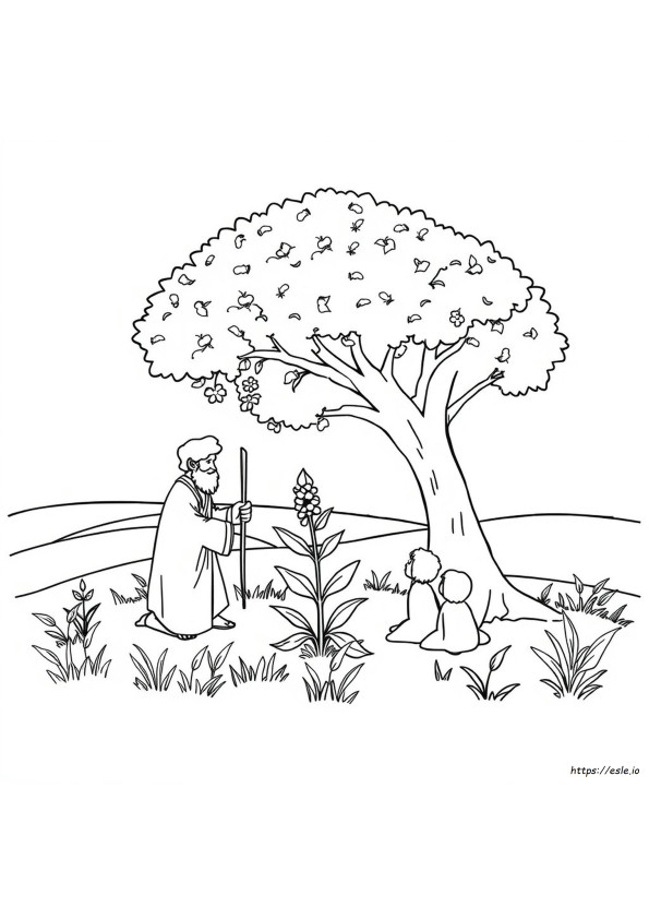 Parable Of The Mustard Seed Coloring Page