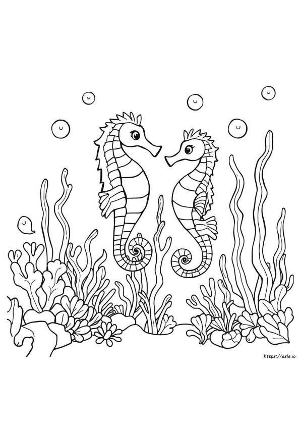 Mermaid Seahorse Coloring Pages