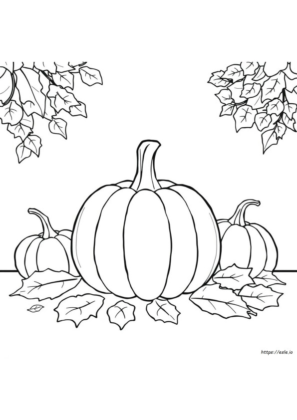 Calabaza De Acción De Gracias Para Colorear