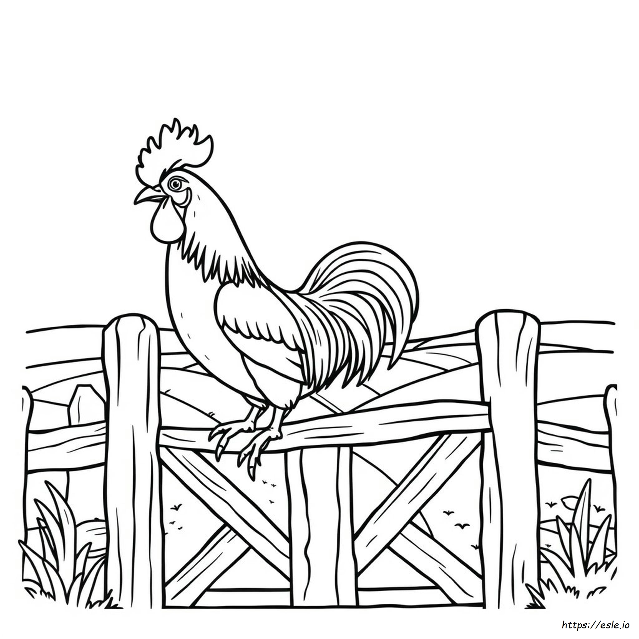 Free Rooster Coloring Pages