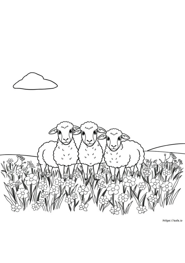 Free Printable Sheep Coloring Page