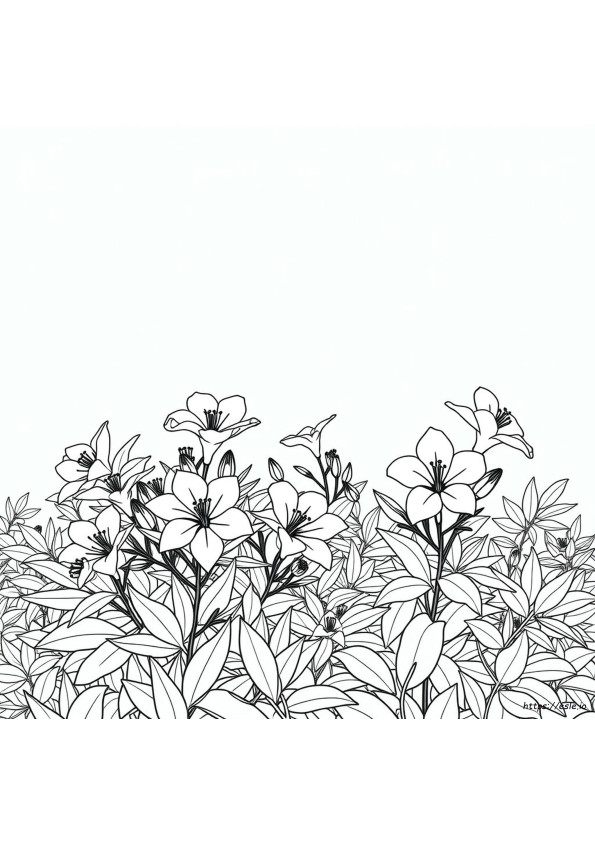 Azalea Kleuren Die Bij Elkaar Passen