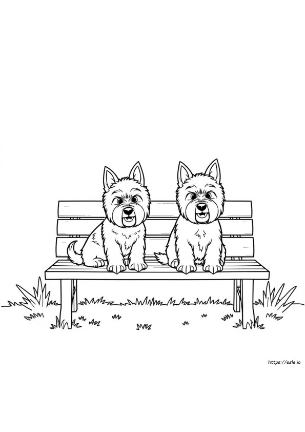 Do Westies Come In Different Colors
