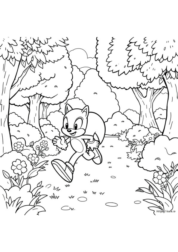Disegni Da Colorare Di Sonic Mania Adventures