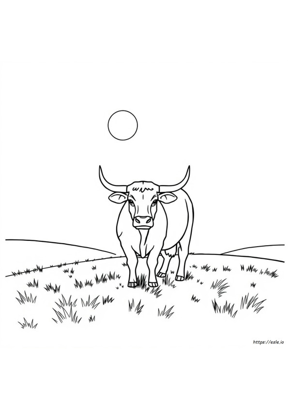 Dibujos De Toros Realistas Para Colorear