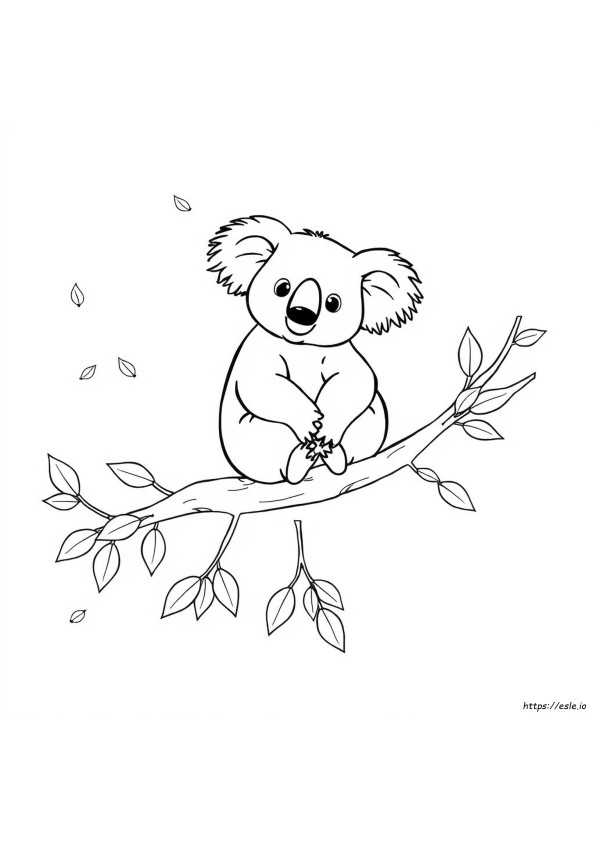 Koala Maci Színező Képek