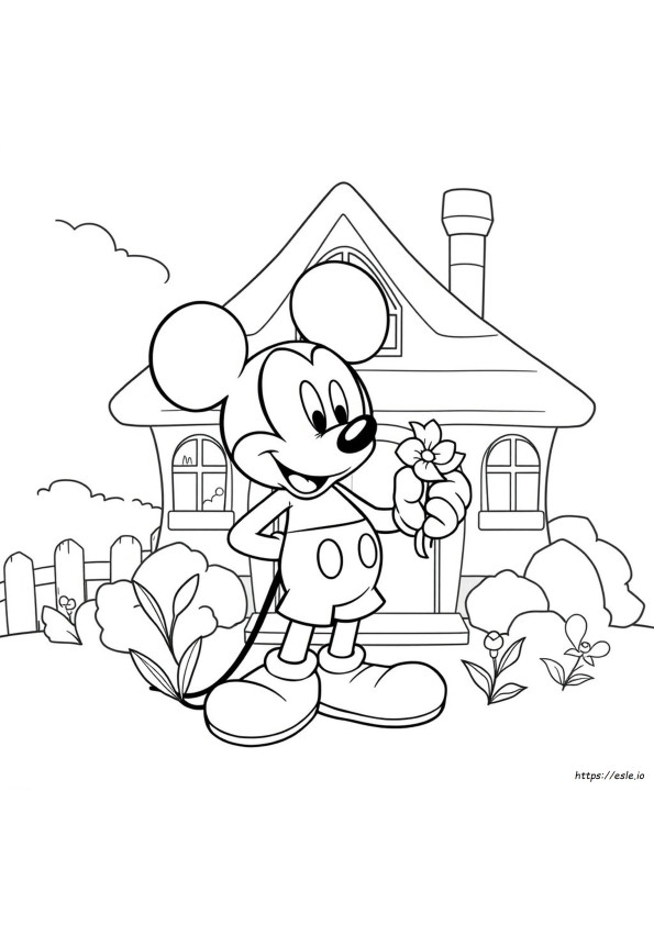Mickey Mouse Boyama