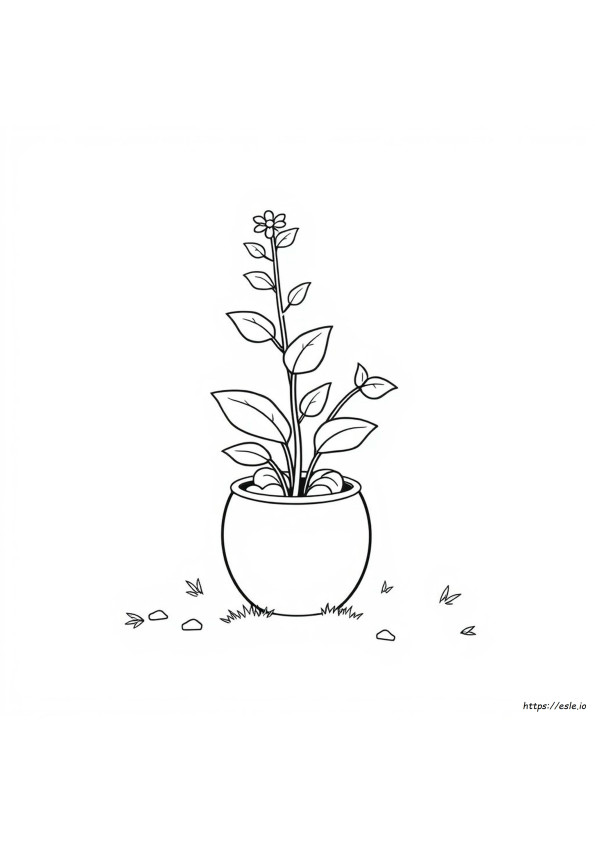plant-pot-colouring