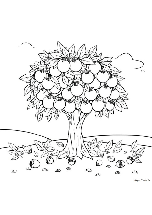 Fall Harvest Coloring Pages Free