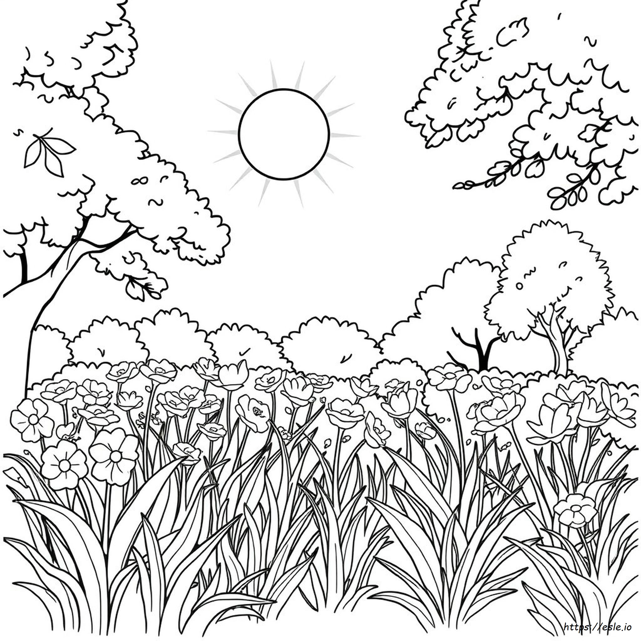 Sunny Day Coloring Pages