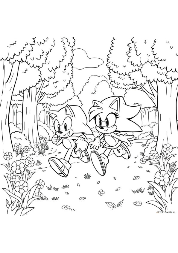 Sonic And Amy Printable Coloring Pages